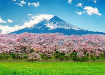 Baharın müjdesi Nevruz