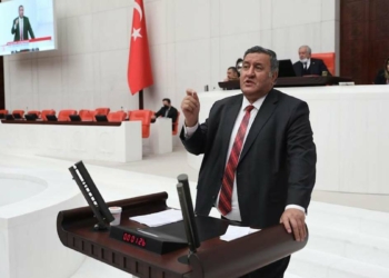 Gebe ve süt inekleri kesime gidiyor