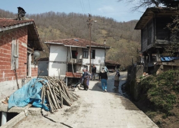 Ordu'da ani kar erimesi; 6 evde hasar