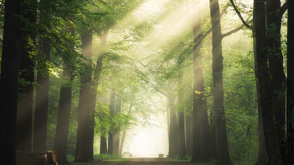 Küçük bir gezinti