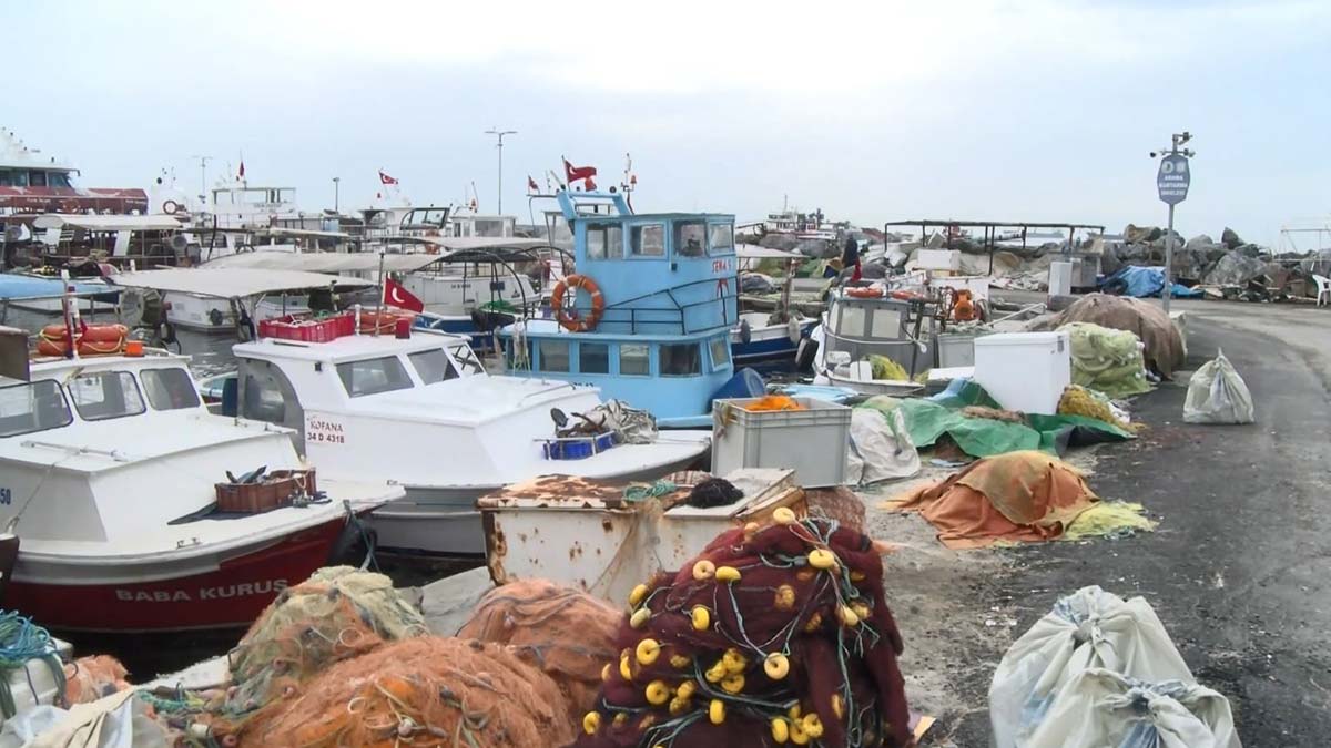 Marmara Denizi'nde şu an müsilaj var