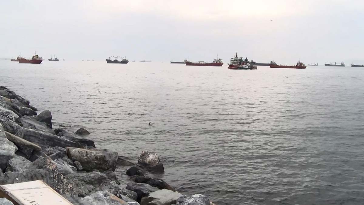 Prof. Dr. Melek İşinibilir Okyar, "Marmara Denizi'nde şu an müsilaj var. Geçen seneki gibi etkili olmasını beklemiyoruz" dedi.