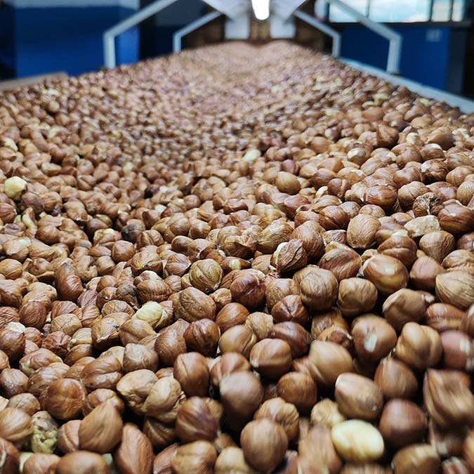 Rusya ve Ukrayna'ya fındık ihracatı askıya alındı