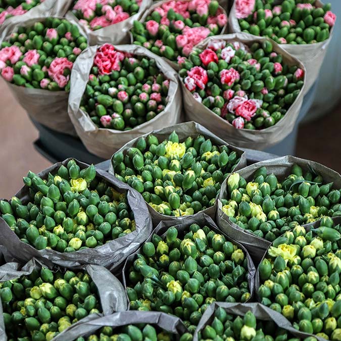 Savaşın Antalya tarımına faturası 233 milyon dolar