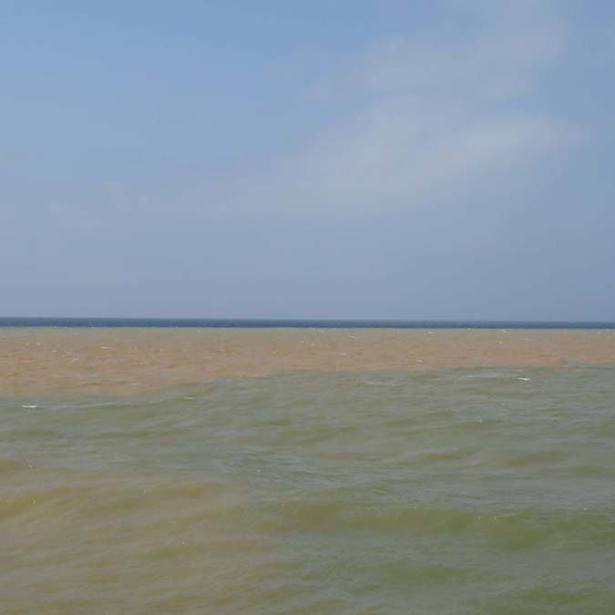 Şile'de denizin rengi kahverengiye döndü