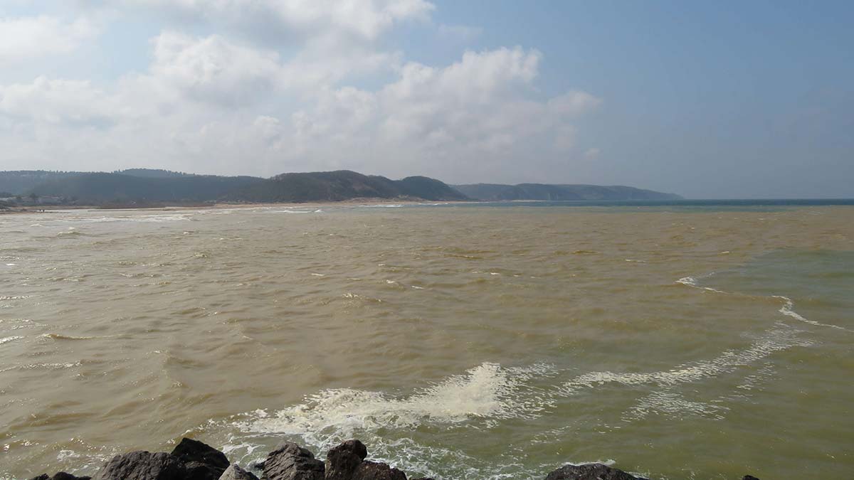 Şile'de denizin rengi kahverengiye döndü