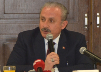 Türkiye savaşla barış arasında da bir köprü