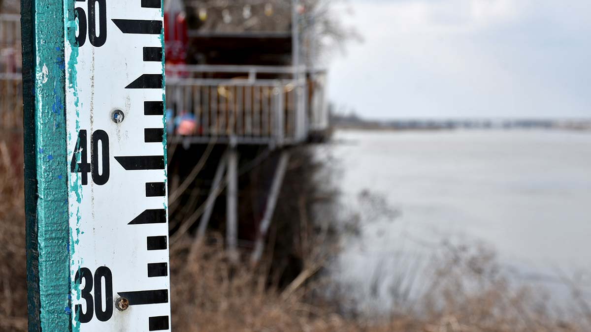 Trakya'da son yağışlar ve Bulgaristan'daki karların erimesiyle baraj ve nehirlerin doluluk oranı arttı.