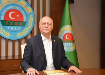 Üreticiyi destekleyerek üretimi artırmaktan başka çare yok