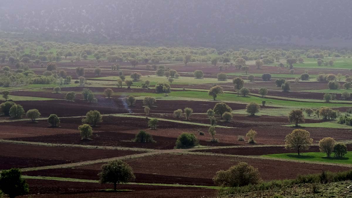 Selçuk Üniversitesi Ziraat Fakültesi Öğretim Üyesi Prof. Dr. Süleyman Soylu, "Rusya-Ukrayna savaşında un sanayisi etkilenebilir" dedi.