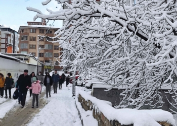 Van'da 325 yol ulaşıma kapandı