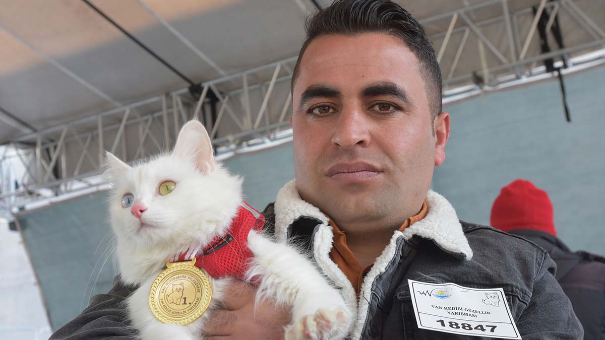 Van Kedisi Güzellik Yarışması 1'incisi Mia oldu