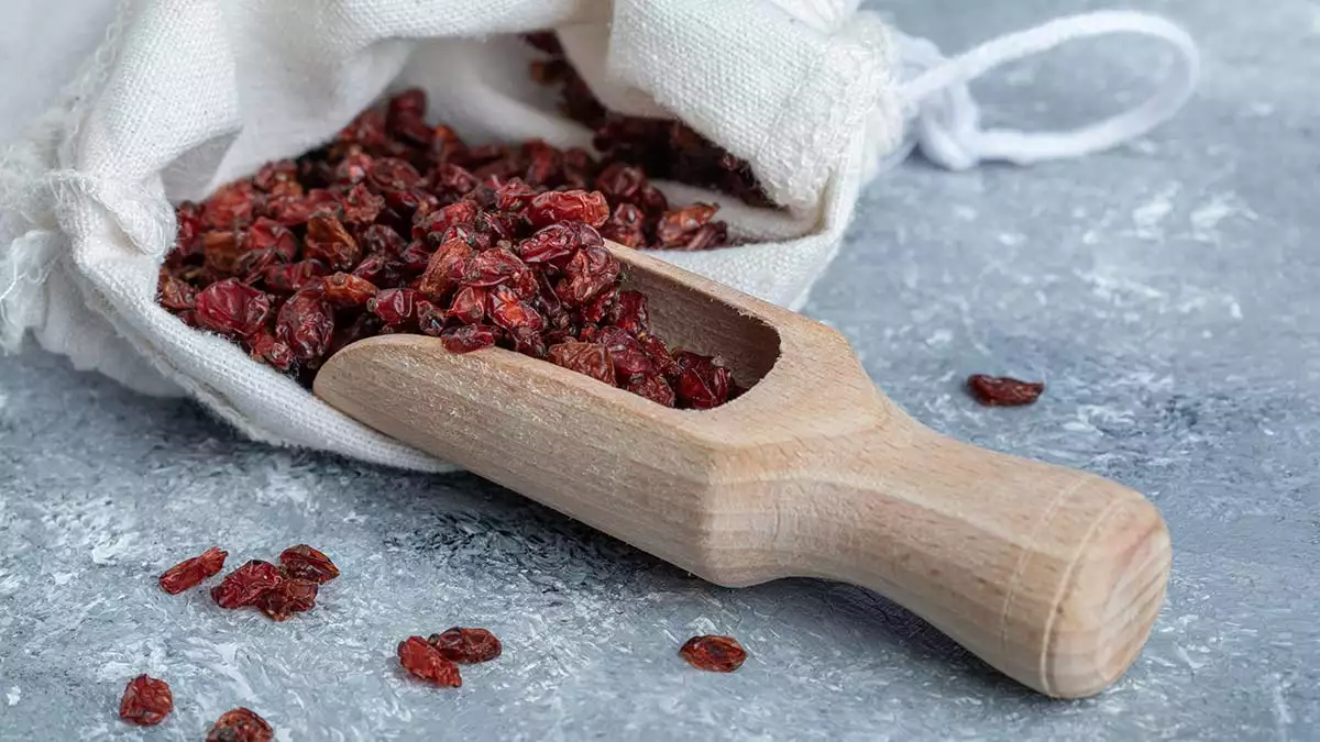 Wooden spoon full dried cranberries - yazarlar - haberton