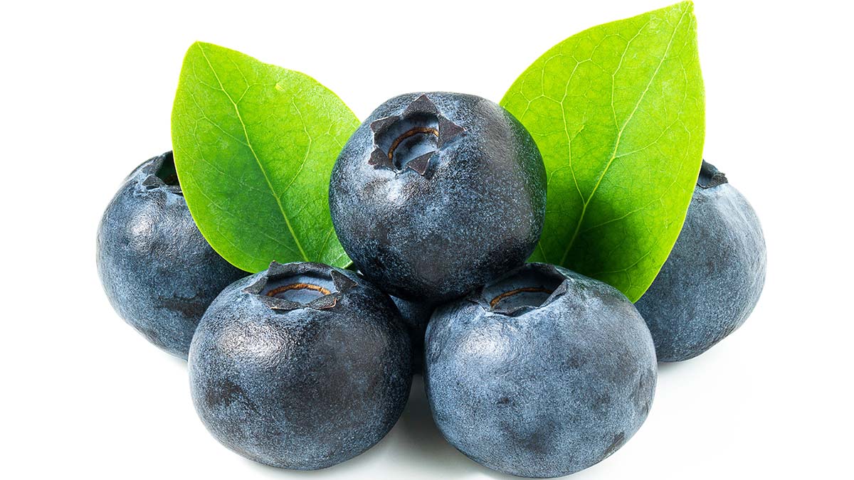 Gerçek yaban mersini kurusu ve gıda sahteciliği