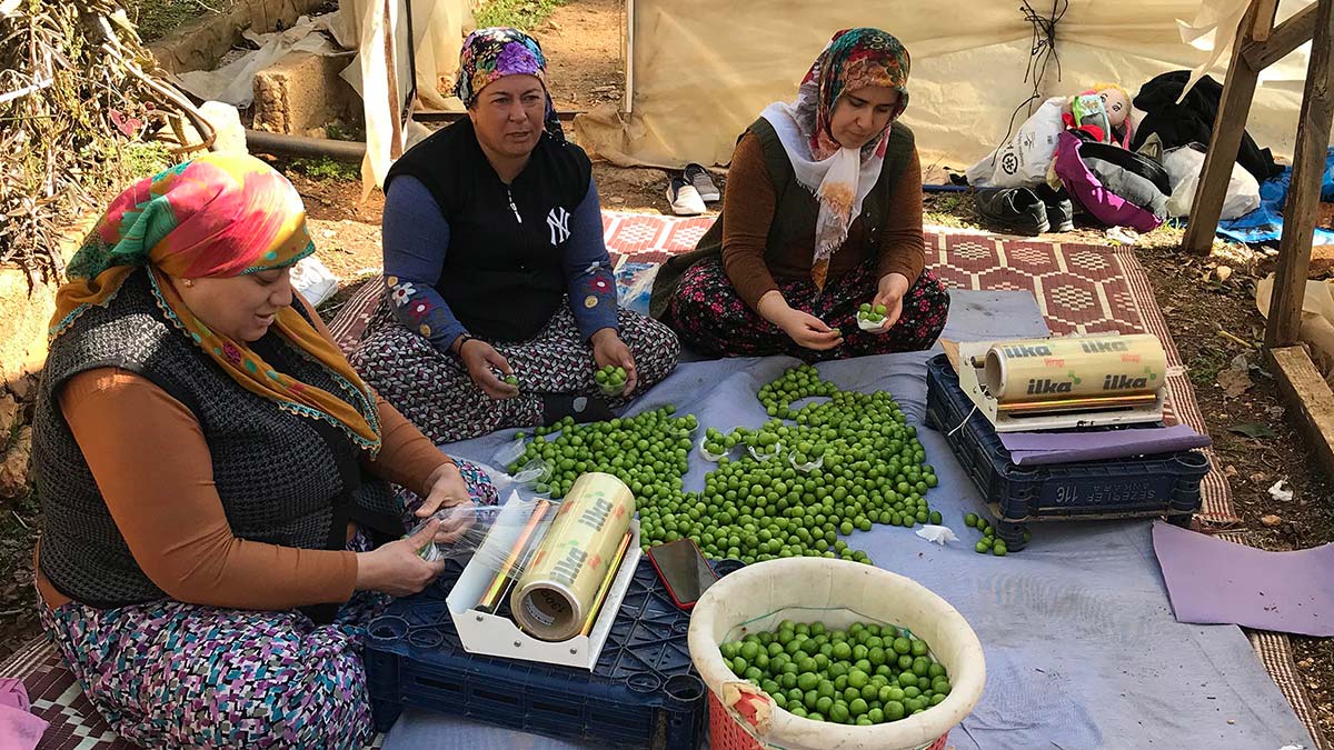 Yılın ilk eriği 600 TL'den satıldı