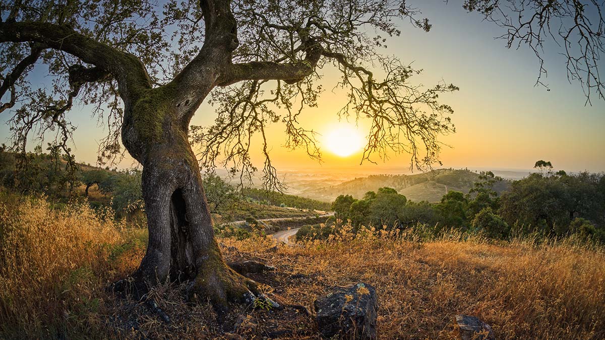 Ne eksik ne fazla...