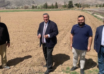 Patates kanseri toprağı bozuyor