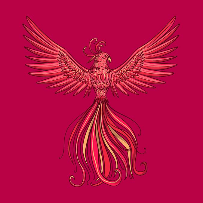 Küllerinden yeniden doğmak