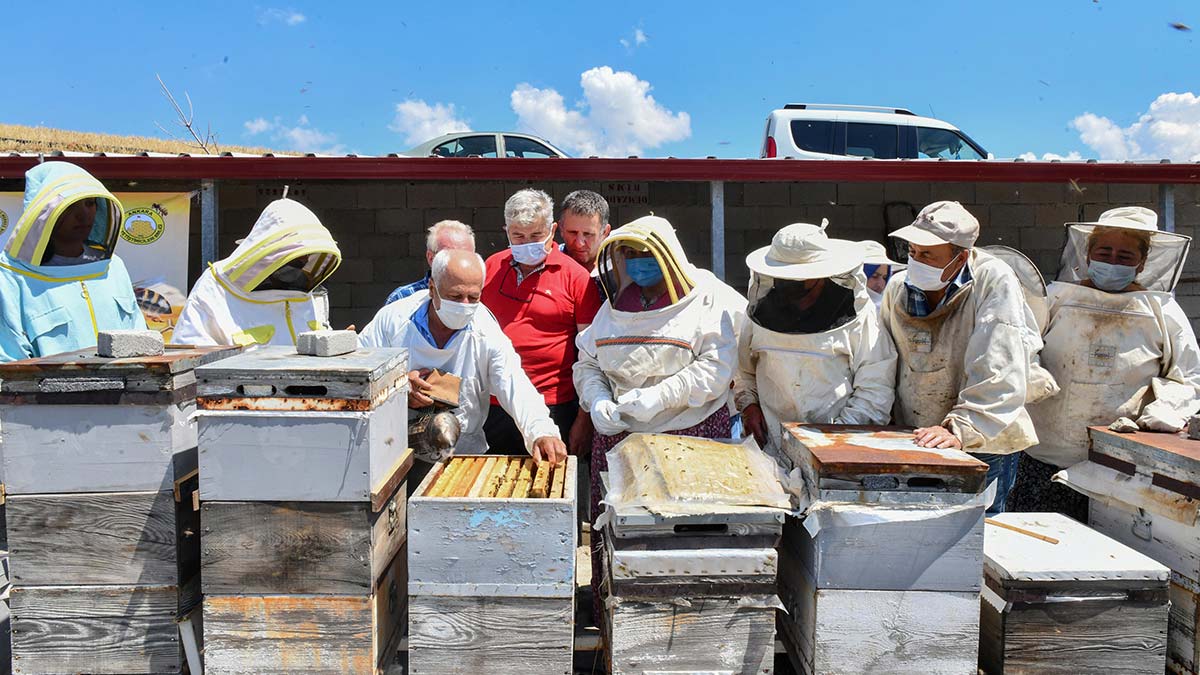 Başkentte arıcılık eğitimi