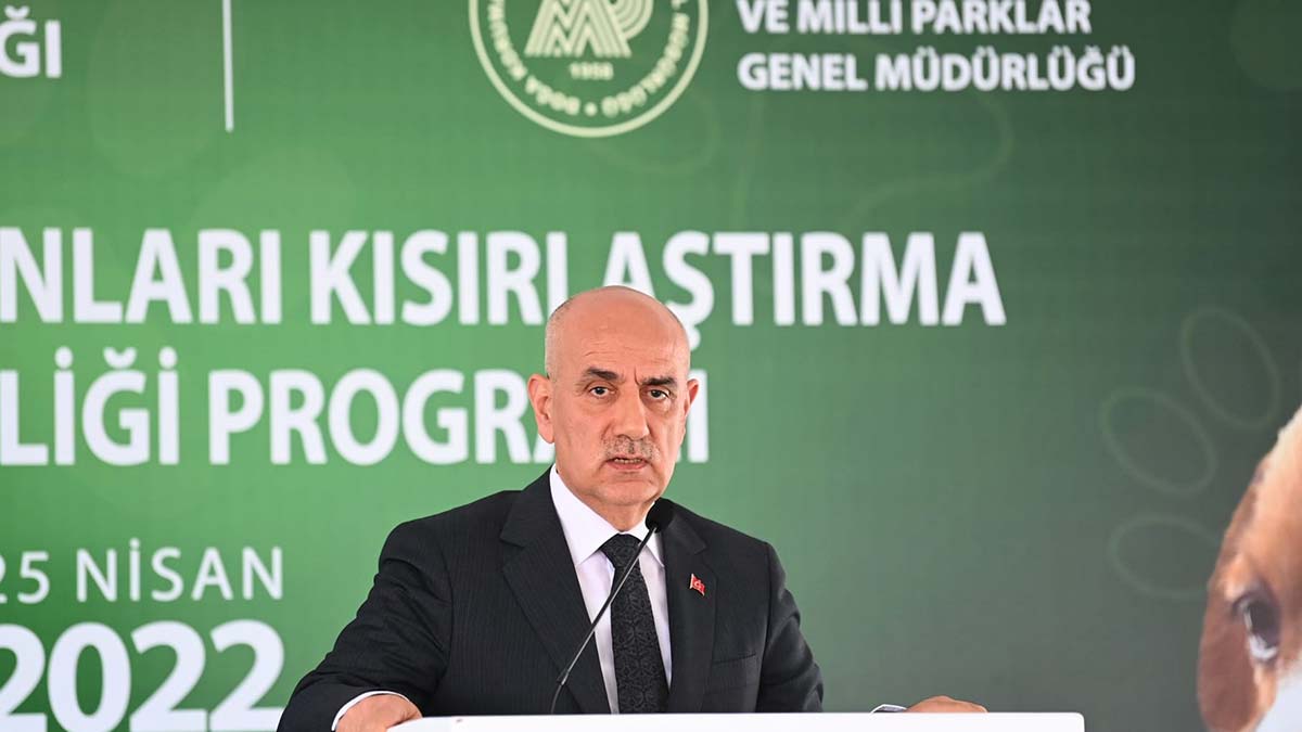 Arzumuz 2 milyon sokak hayvanını kısırlaştırmak