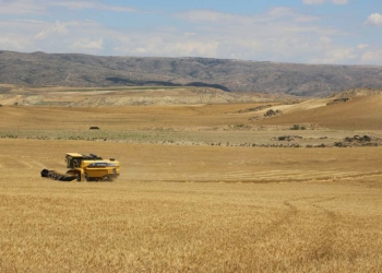 Büyükerşen'den çiftçiye hasat müjdesi