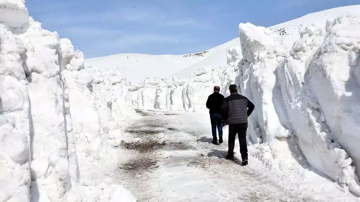 Bitlis'te karla mücadele çalışmaları sürüyor
