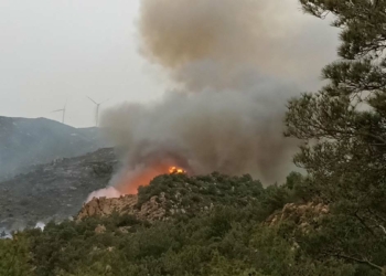 Bodrum'da orman ve makilik yangını