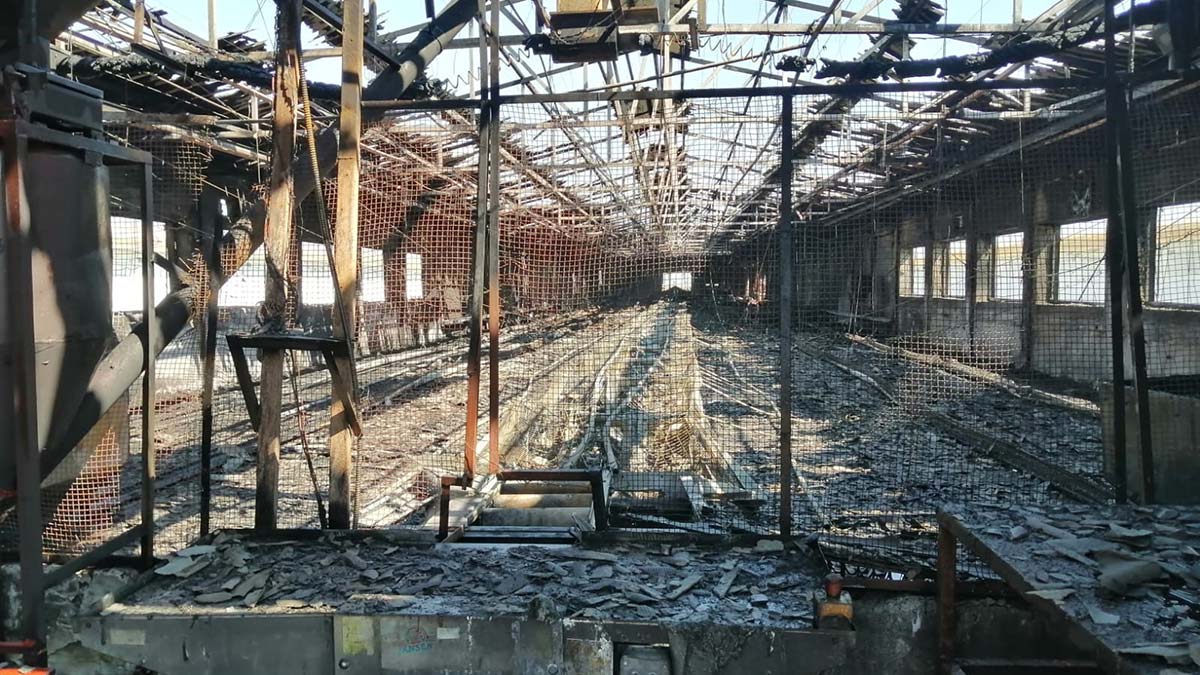 Bursa'da çiftlikte yangın: 4 bin tavuk öldü