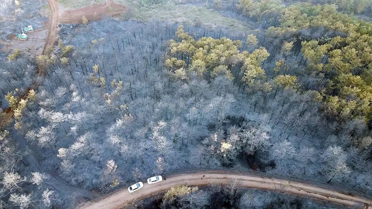 Bursa'da orman yangını 17 saat sonra söndürüldü