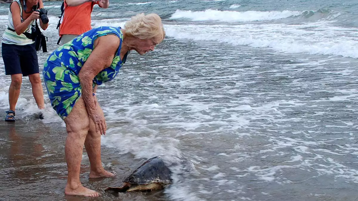 Caretta carettalarin annesi haimoffdan aci haber 1 - yaşam - haberton