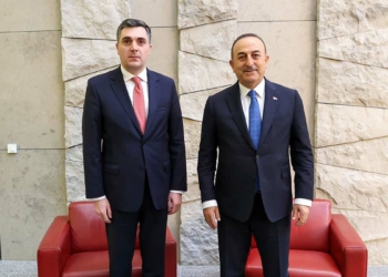 Çavuşoğlu, mevkidaşı Darchiashvili ile görüştü