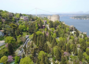 Çiçek açan erguvanlar İstanbul Boğazı'nı süsledi