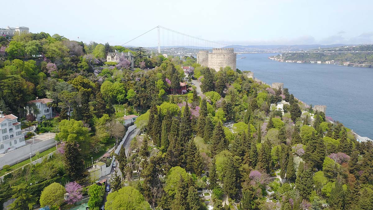 Çiçek açan erguvanlar İstanbul Boğazı'nı süsledi