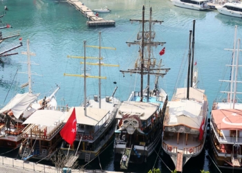 Deniz Ticaret Odası yöneticisine 49 bin TL ceza