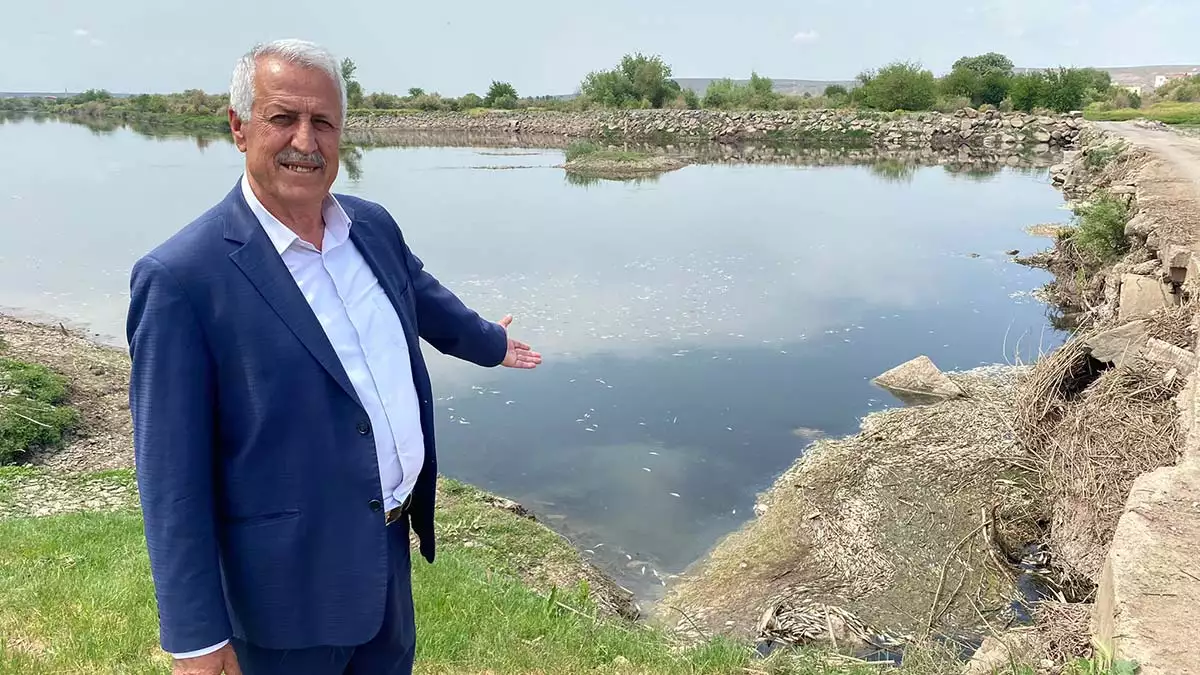 Dicle nehri'nde balık ölümlerine inceleme