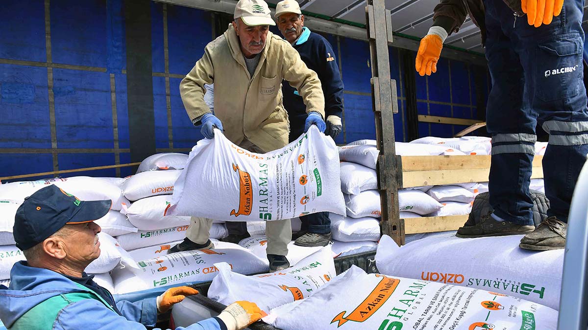 Nohut tohumu dağıtımı tamamlandı