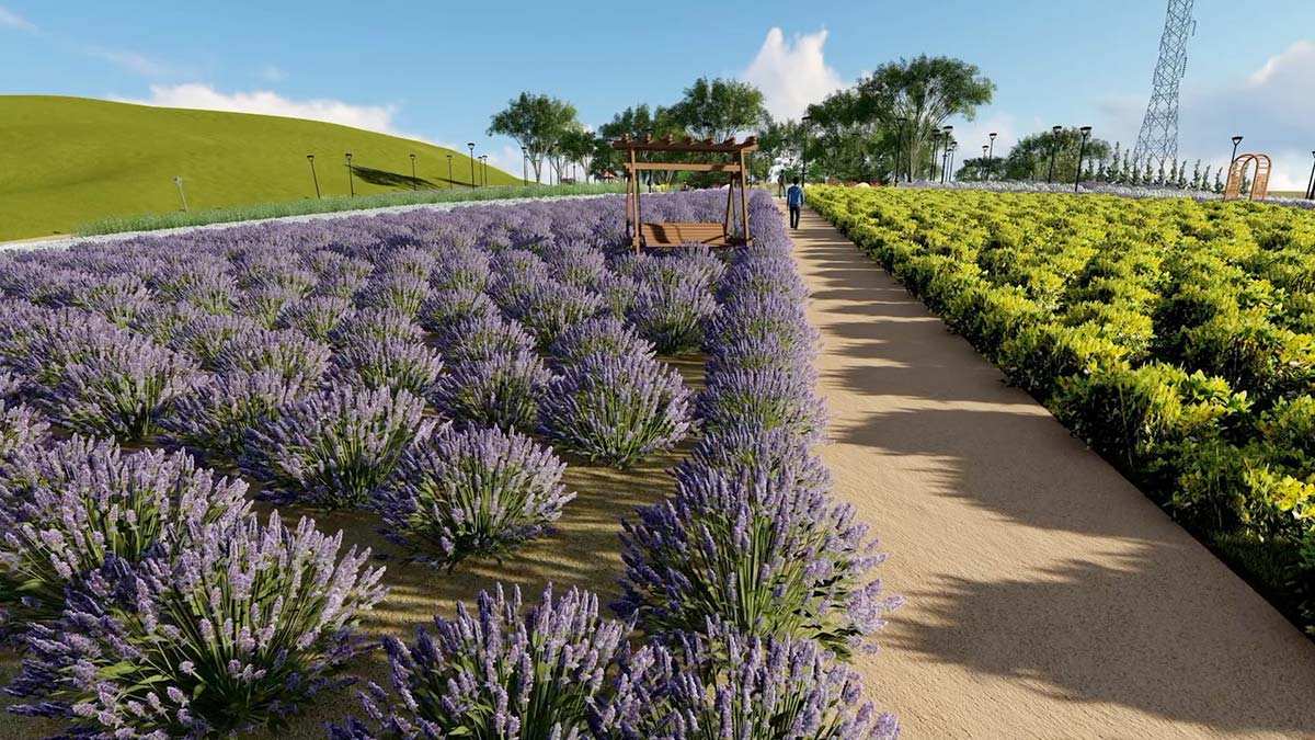 Ankara'ya Lavanta Parkı