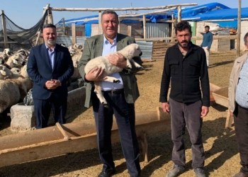 Besici icra kıskacıyla karşı karşıya