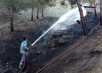 Gaziantep'te örtü yangını