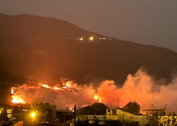 Hatay'da orman yangını