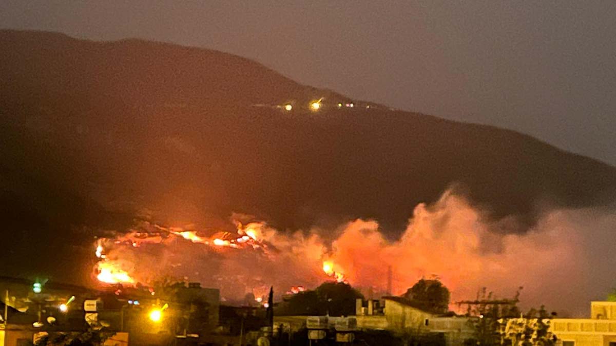 Hatay'da orman yangını