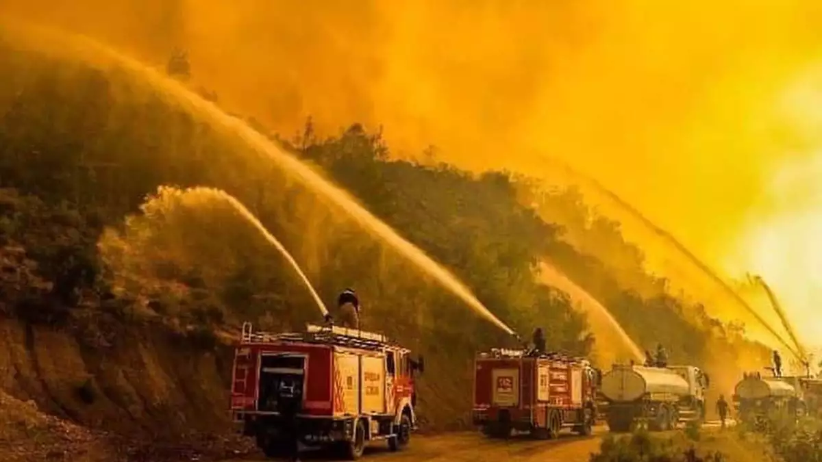 Hataydaki orman yanginina vatandastan destek 1 - öne çıkan - haberton