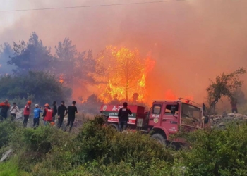 Hatay'daki orman yangınına vatandaştan destek