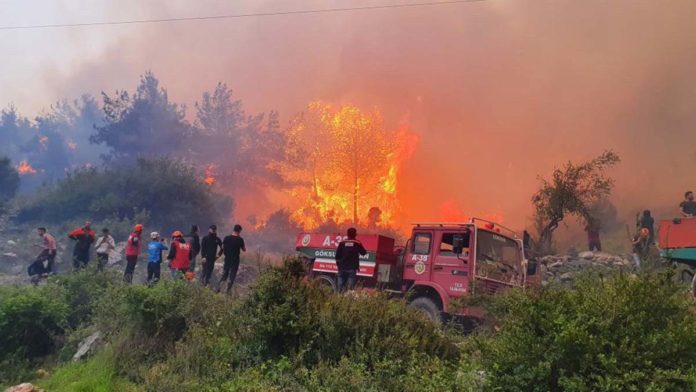 Hatay'daki orman yangınına vatandaştan destek
