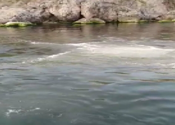 Heybeliada'da denize lağım suyu karıştı
