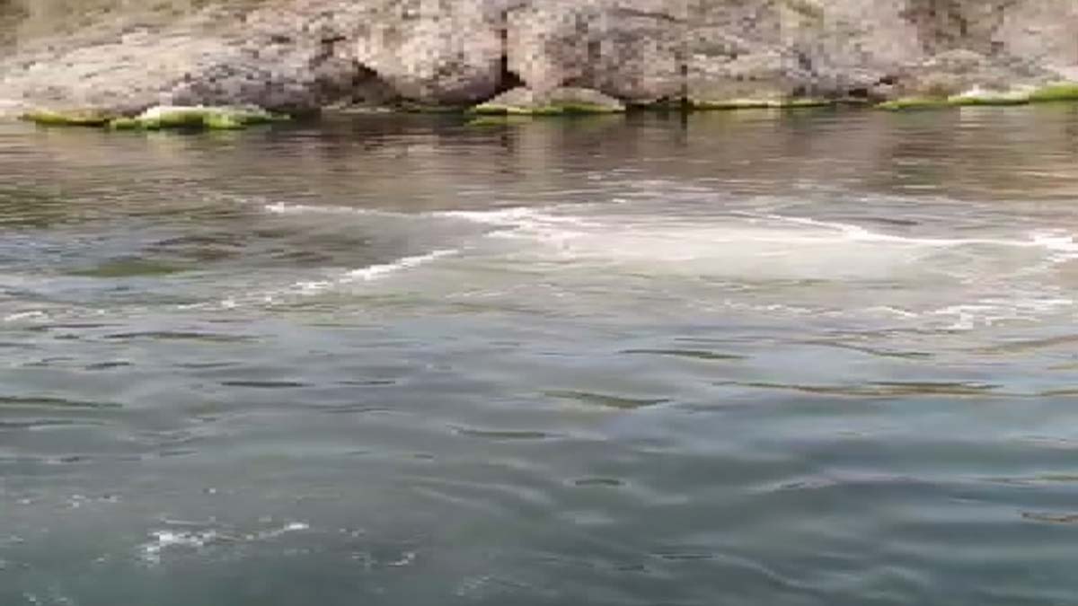 Heybeliada'da denize lağım suyu karıştı