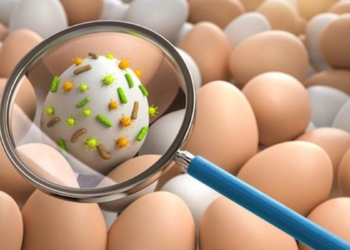 Hijyenin olmadığı yerlerde salmonella riski var