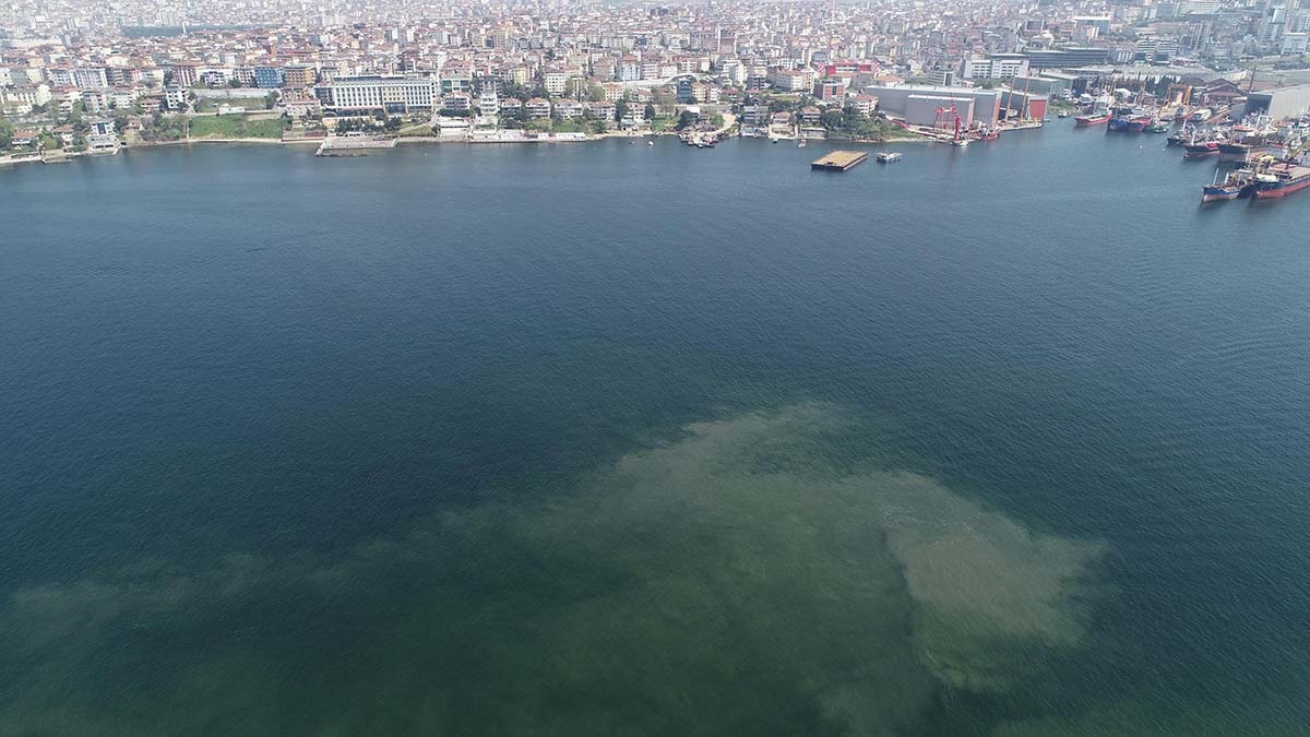 İstanbul sahillerinde müsilaj geri mi dönüyor