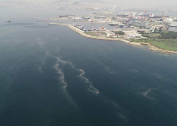 İstanbul'da müsilaj her geçen dakika artıyor
