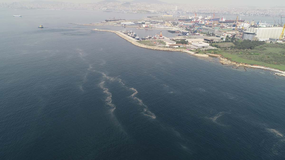 İstanbul'da müsilaj her geçen dakika artıyor